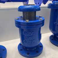 DN50-DN600 katup rilis udara cepat flensa dari Tiongkok harga rendah ODM/OEM/OBM katup kategori produk