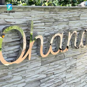 Custom Stainless Steel Brand Logo Brushed Mirror Led Letters Sign For Reception Office Wall Sign