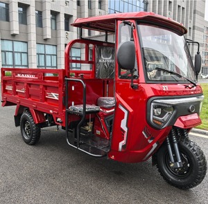 Distributeur mondial J7 recherché : Tricycle cargo à essence 2025, le plus vendu, avec moteur 200CC refroidi par eau, 3 roues - Product Image 2