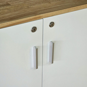 Two-Tier Minimalist Metal <b>Storage</b> <b>Cabinet</b> 80x40x87cm THS68023 Rubber Wood Filing <b>Cabinet</b> Hinged Doors <b>Lockable</b> for Workshops - Product Image 6