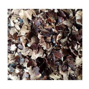 CASQUILLO DE ANACARDOS VIETNAMITA DE ALTA CALIDAD A PRECIO DE ALMACÉN-OFERTA CALIENTE 2024 - Product Image 4