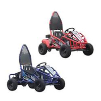 Go Kart Eléctrico Original de Alta Calidad para Adultos, Modelo de Carreras, 1000W, Freno Hidráulico, Motor de 110CC, Velocidad Máxima de 40km/h, Grado A