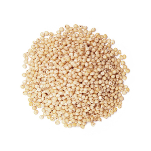 ข้าวฟ่างขายส่งจำนวนมากสำหรับผู้ซื้อต่างประเทศ - Product Image 3