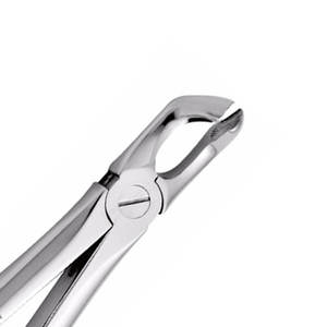 Fórceps de extracción Dental de calidad de exportación No. 17 Molar inferior Acero inoxidable Mango dentado cruzado ergonómico Herramientas de cirugía dental - Product Image 3