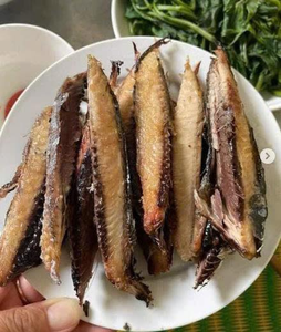 Atún Desespinado y Seco Congelado en Bandeja de 250 Gramos, Fabricante de Atún Desespinado y Seco Congelado ANGLE - Product Image 2