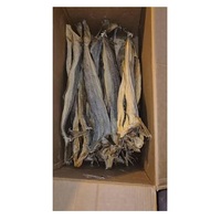 Stockfish entier séché - Achat en gros de stockfish pour la transformation alimentaire