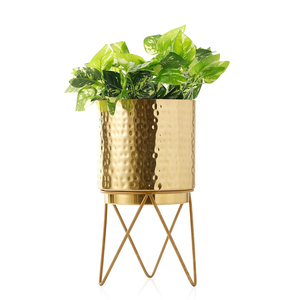 ขาตั้งกระถางต้นไม้เหล็กยอดนิยม ดีไซน์กระถางไม่ซ้ำใคร ตกแต่งด้วยสีทอง วางบนโต๊ะหรือตั้งพื้น ใช้ตกแต่งงานแต่งงาน - Product Image 2