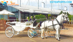 Carruaje clásico de ataúd, carruaje de caballos, carruajes funerarios personalizados de Bahamas, carruaje de caballos blanco moderno - Product Image 2