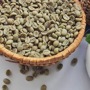 Grains de café vert robusta du Vietnam disponibles en 13 16 18 tailles emballées en sac de 60kg/jute + 84398885178 - Product Image 3