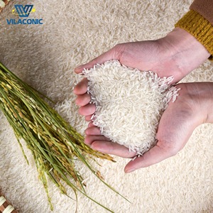 Arroz Jazmín de los Países Bajos-Arroz fragante Premium | Embalaje: 1kg, 5kg, 10kg, 25kg | Riz | Arroz | Calidad de exportación - Product Image 6