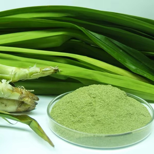 Polvo de hoja Pandan sabor verde natural alta calidad precio barato suministro a granel de Vietnam - Product Image 1