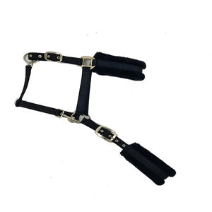 Caballo Halter de alta calidad, montar a caballo, PP Halter, disponible al mejor precio - Product Image 3