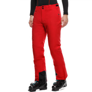 Streetgrace Pantalon de ski personnalisé pour hommes Fabricant OEM Coque imperméable Coupe-vent Impression de logos et services de marque privée - Product Image 5