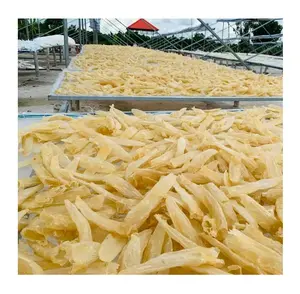 Bulk Stock of Dried Fish Maw , Swim Bladder (seafood) Available best price