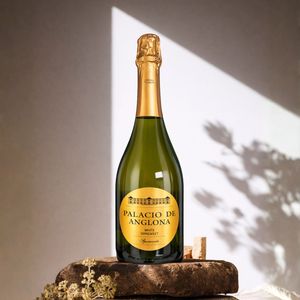 Vin mousseux blanc semi-doux Palacio de Anglona Airen & Tempranillo 9,5% ABV Vin mousseux espagnol 750ml - Product Image 2