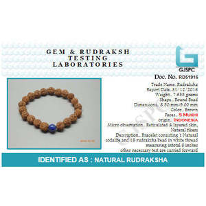 Pulsera de Sodalita Natural con 5 Mukhi Rudraksha para Hombre y Mujer - Pulsera de Cristal Unisex Marrón de ARIHANT GEMS & JEWELS - Product Image 3