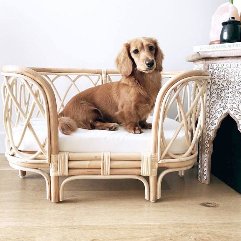 ธรรมชาติ