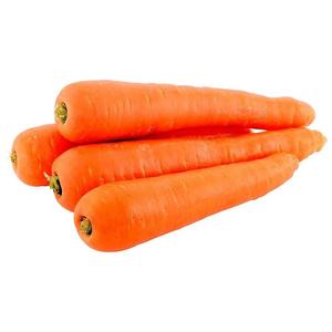 Premium Quality Fresh Carrots available for <b>Wholesale</b> and export Fast Delivery ensuring <b>crisp</b> healthy and nutritious vegetables - Product Image 6
