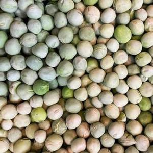 ถั่วลันเตาแห้งพรีเมียม โปรตีนสูง ธรรมชาติ ไม่ผ่านการปรุงแต่ง ขายส่ง จำนวนมาก เกรดส่งออก บรรจุถุง สำหรับขาย - Product Image 1