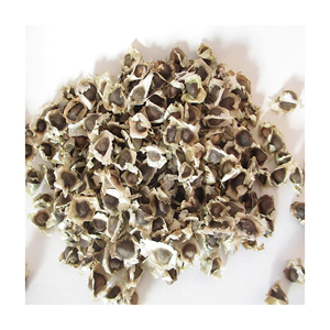 Hot Premium Herbs Organic High Pure Water Soluble Moringa Oleifera Moringa Seeds New Arrival Moringa Seed Best Premium Quality - Product Image 3