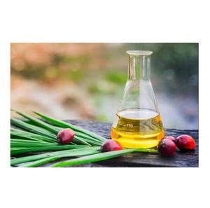 Huile de palme raffinée en vrac à vendre – Huile de cuisson de qualité supérieure exportée dans le monde entier – Prix de gros disponibles - Product Image 1