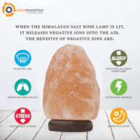 Lampes en sel de l'Himalaya sculptées à la main de haute qualité, forme naturelle, attrape-rêves, décoration de Noël pour la maison, IMPEX PAKISTAN