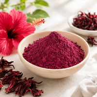 Poudre d'extrait d'hibiscus soluble dans l'eau, ingrédient de fleur de roselle, qualité alimentaire, vente en gros, approvisionnement direct usine
