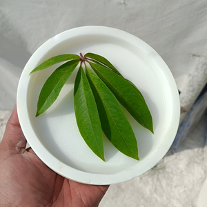 Plateau de service en marbre naturel de haute qualité fait à la main plateau de luxe élégant Design moderne pour cuisine bureau à domicile en gros - Product Image 5