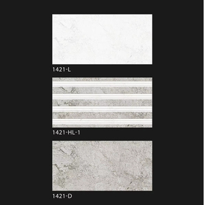 Fabricante directo India Alto brillo 300x600 Azulejos de pared digitales esmaltados de cerámica Alta calidad Nuevo diseño moderno Villas Sólido - Product Image 1