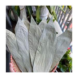 ใบไผ่ย่อยสลายได้จากเวียดนามวัตถุดิบแห้งสำหรับห่อเค้กพร้อมส่งออก - Product Image 6