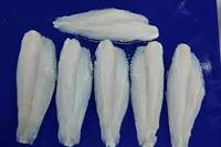 Filet de pangasius surgelé Poisson du Vietnam de qualité supérieure