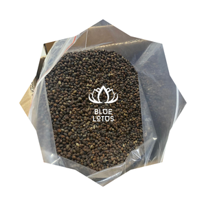 2024 GRAINES DE PAPAYE SÉCHÉES MEILLEURE QUALITÉ DU VIETNAM À L'ALLEMAGNE ÉTATS-UNIS MARCHÉ MS AMELIA HUYNH + 84855014447 AU MEILLEUR PRIX - Product Image 1