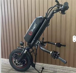 Nuevo y Popular Accesorio de Pulsera para Silla de Ruedas Eléctrica de 12 Pulgadas, 250W/500W 8AH-16AH - Product Image 1