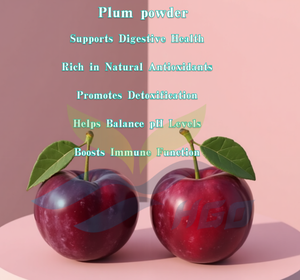 Suministro directo de fábrica HGO de polvo de ciruela natural puro (grado alimenticio) Especificación de polvo de fruta (polvo de fruta o vegetal) - Product Image 5