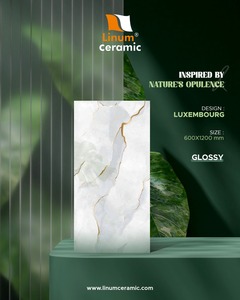 Offre Spéciale dernière conception 2025 600x1200 carreaux de porcelaine finition brillante pour carreaux de mur et de sol - Product Image 1