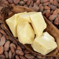 Beurre de cacao naturel brut en sac de 25 kg, fournisseur d'exportation pour la fabrication de chocolat, la transformation alimentaire et la confiserie