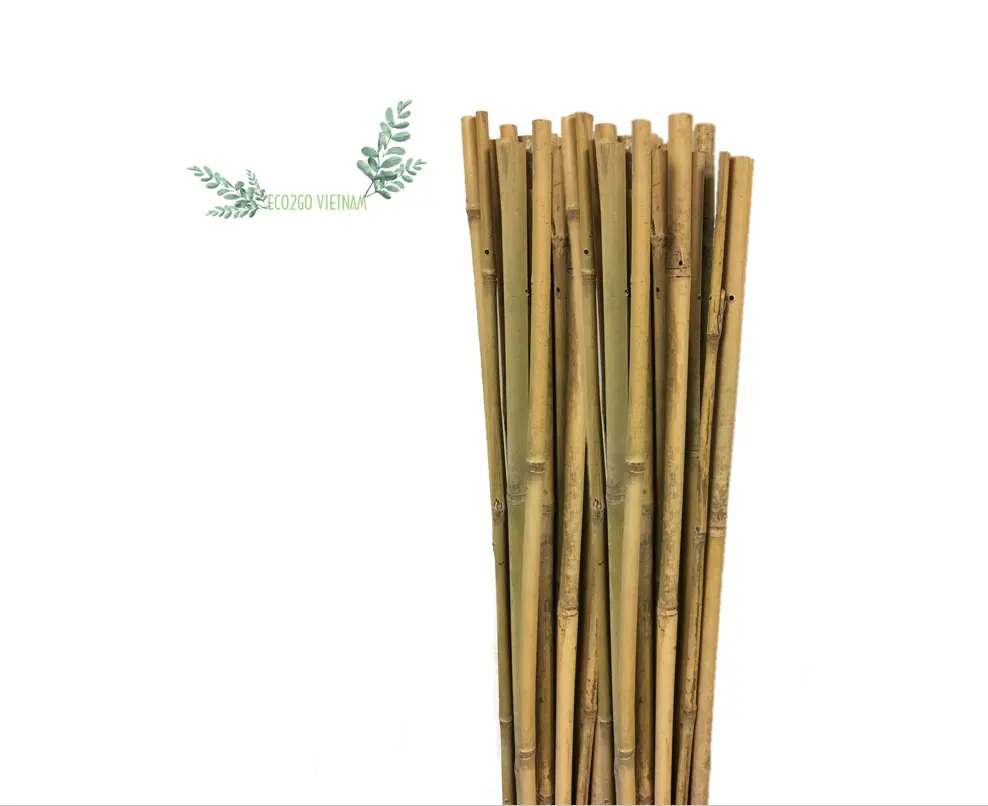 Großhandel rohe natürliche flexible Bambus pfähle/Bambus stöcke/Bambus pfahl Garten Tonkin Hohe Qualität Made in Eco2go Vietnam