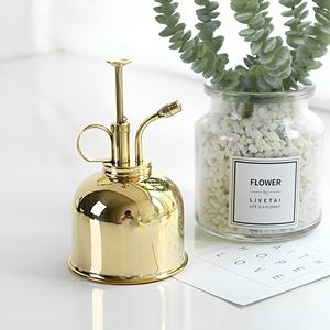 Meilleure vente Plante Mister Vintage Brass Mister Plantes succulentes Arrosage Pulvérisateur en laiton Arrosage Mister Laiton Top Base en fer - Product Image 2