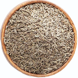 Exportateur en vrac de graines de cumin de l'Inde fournissant des Jeera biologiques pour les arômes de cuisine et les besoins en épices gastronomiques dans le monde entier en gros - Product Image 4