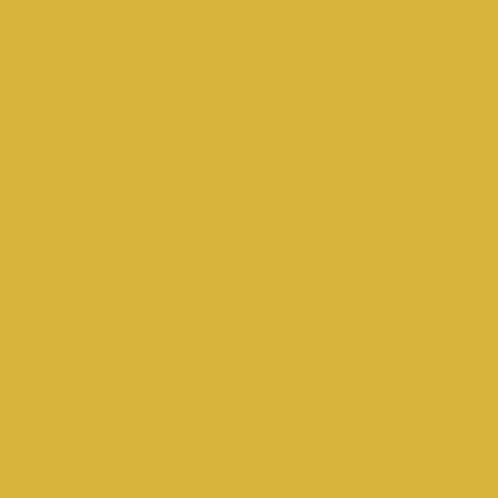 เดซี่สีเหลือง05