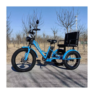 Tricycle à passagers de haute qualité avec moteur électrique puissant, fourni pour le commerce de gros, conforme aux normes d'exportation - Product Image 4