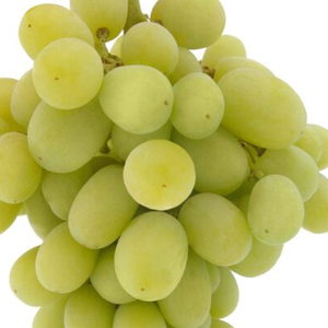 Raisins Verts Frais Premium Sans Pépins de Davao avec une Durée de Conservation de 12 Mois et un Riche Contenu en Vitamines pour la Restauration et l'Utilisation en Vinification - Product Image 4