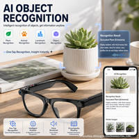 Lunettes intelligentes IA 20MP avec caméra en temps réel, reconnaissance d'objets et assistant vocal pour les voyages d'affaires