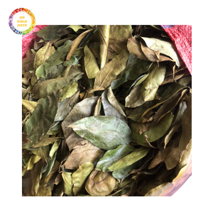 Meilleur prix pour des feuilles de corossol séchées de qualité supérieure, emballées en vrac et séchées avec soin - Product Image 1