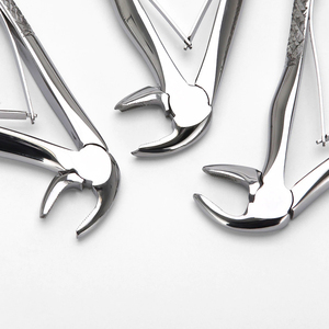 Instrumentos Dentales Manuales de Acero Inoxidable de Primera Calidad para Exportación, Juego de 10 Pinzas para Extracción de Dientes en Adultos, con Certificación CE - Product Image 4