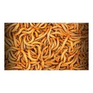 China Domesticated Clean Natural Best Selling Dried Mealworms Bulk Freeze Dried Mealworms - Product Image 3