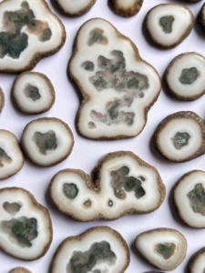 หินมอสอาเกตธรรมชาติ ทรงแผ่น ขัดเงา รูปทรงผสม สำหรับทำเครื่องประดับ ขายส่ง - Product Image 4