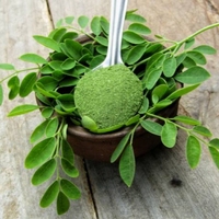 Bubuk Moringa Premium | 100% murni & alami | Ekstrak Herbal | Eksportir India