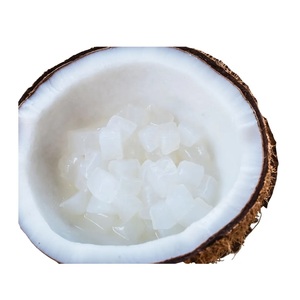 Halal Raw Nata De Coco Fruity Healthy Coconut Jelly Syrup pudín en forma de corazón tamaño personalizado tazas bolsita opciones a granel precio bolsa - Product Image 4