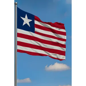 Drapeau en soie numérique personnalisé avec mât en aluminium pour affichage extérieur - Product Image 3